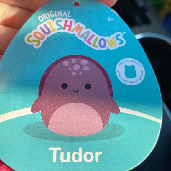 Squishmallows FTM Tudor the turtle - Picture 3 of 5